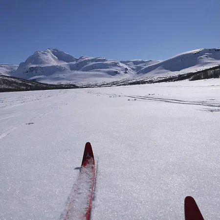 Lapphaugen Turiststasjon 롯지 *