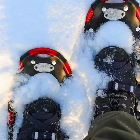 롯지 Lapphaugen Turiststasjon *