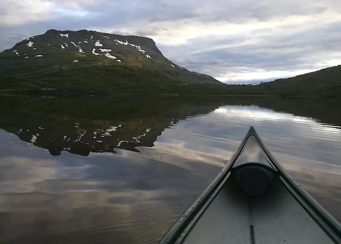 Lapphaugen Turiststasjon Lodge *