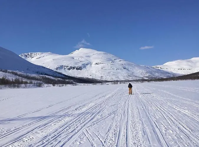 Lapphaugen Turiststasjon