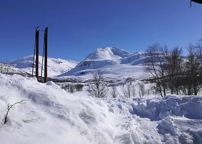 Chata Lapphaugen Turiststasjon