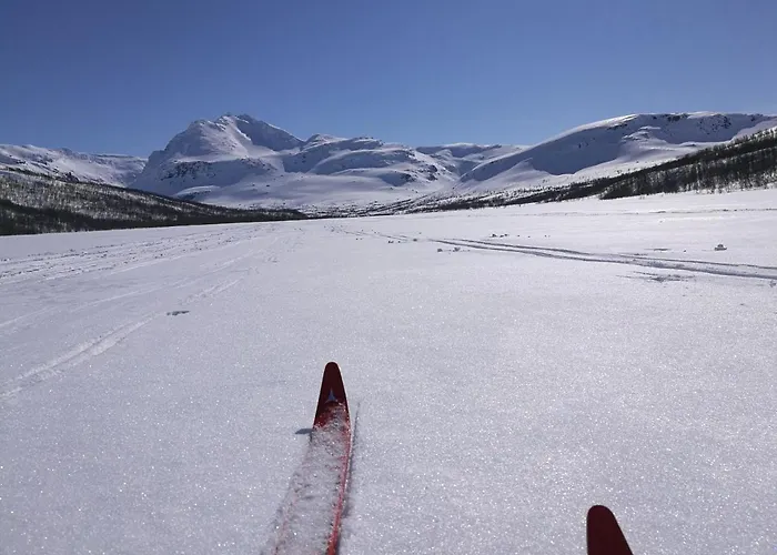 Lapphaugen Turiststasjon Lodge *