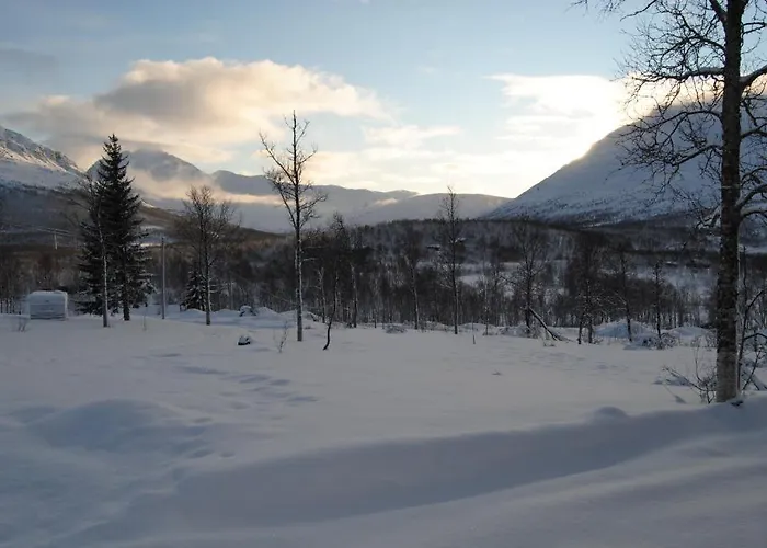 Lapphaugen Turiststasjon *