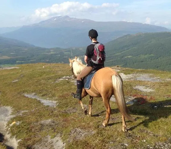 Lapphaugen Turiststasjon * Tennevoll