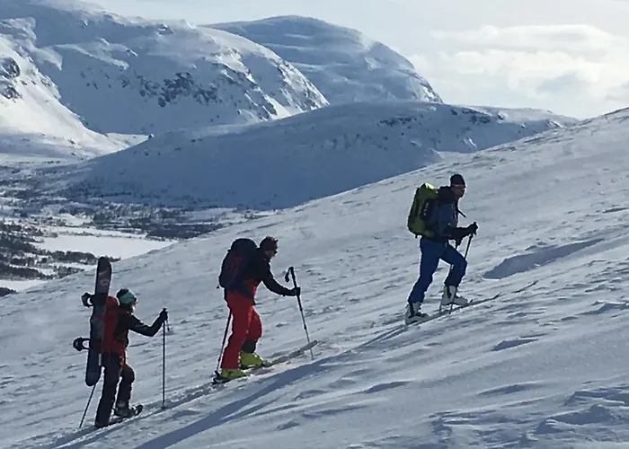 Lodge Lapphaugen Turiststasjon *