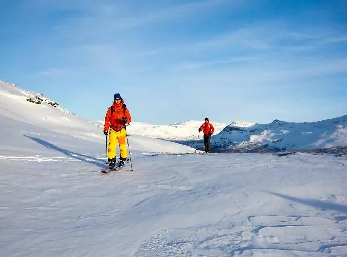 Lapphaugen Turiststasjon Lodge *