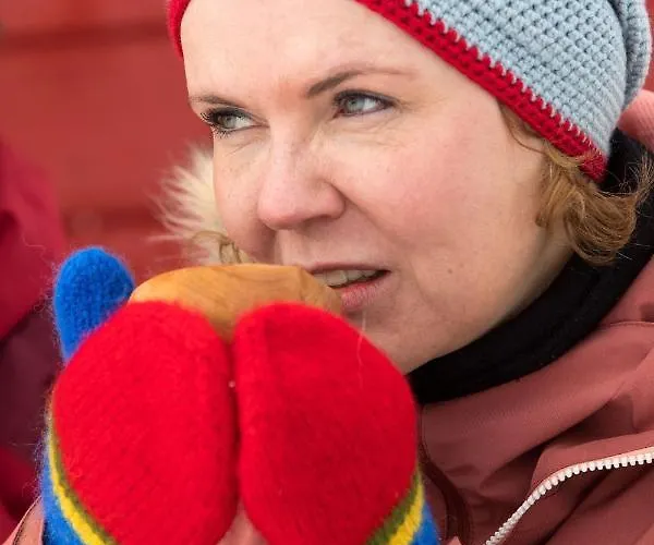 بيت خشبي Lapphaugen Turiststasjon