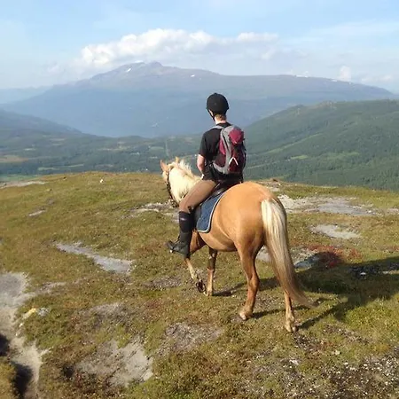 Lapphaugen Turiststasjon * Tennevoll