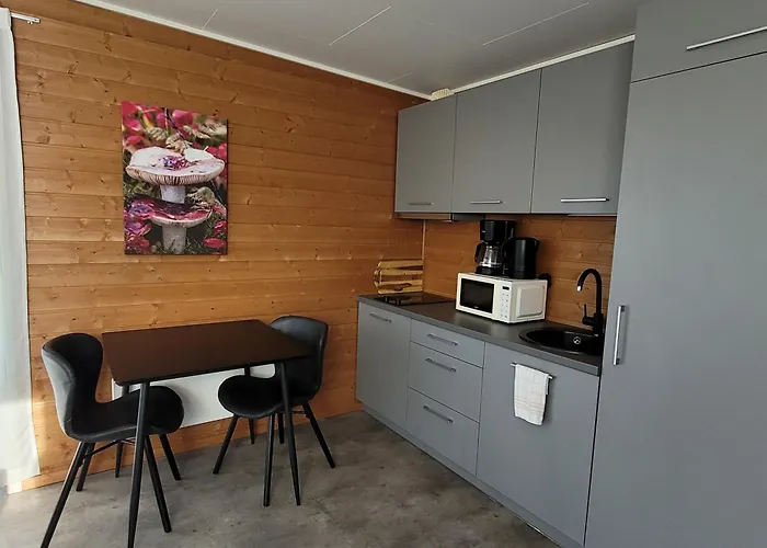 兰弗根图里斯塔酒店 山林小屋